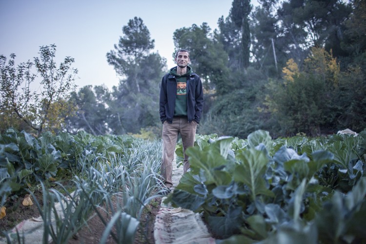 “AMB ELS BANCS D’ALIMENTS, SE SUBVENCIONA DE FORMA PERVERSA LA GRAN INDÚSTRIA ALIMENTÀRIA”