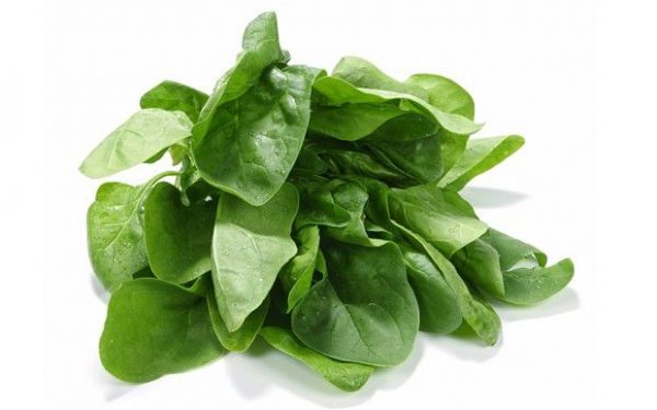 ESPINACA ECOLÓGICA (Manojo 250 grs)-AIA-
