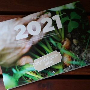 Calendario alimentos de temporada