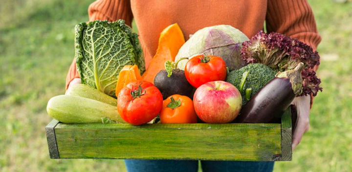 ¿Porqué elegir alimentos agroecológicos?